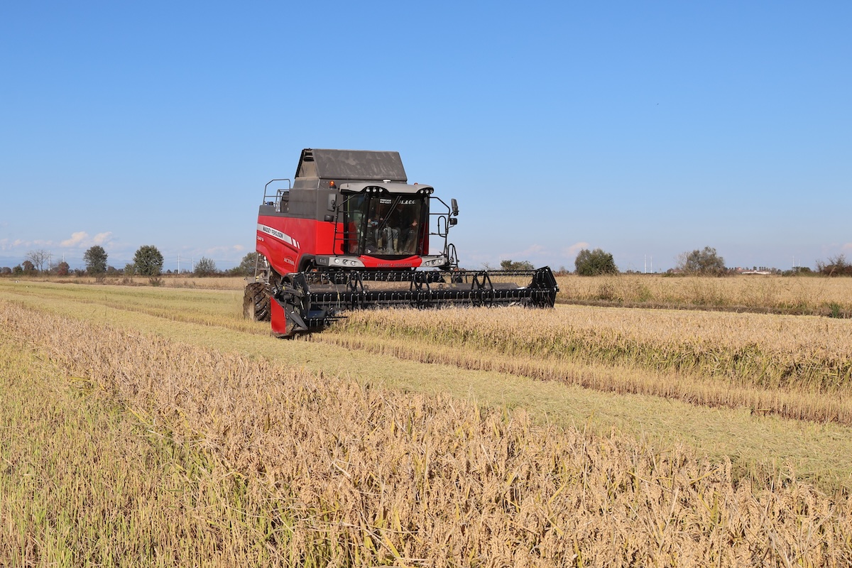 Il risicoltore Alessandro Busto apprezza i cingoli in gomma e la semplicità costruttiva della Massey Ferguson Activa 7347 S