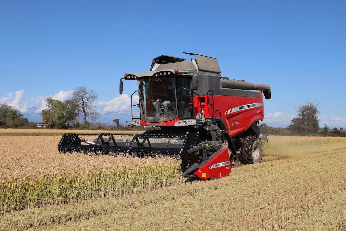 A detta del risicoltore Piero Camoriano, Massey Ferguson Beta 7360 è facile da guidare in risaia e semplice da mantenere