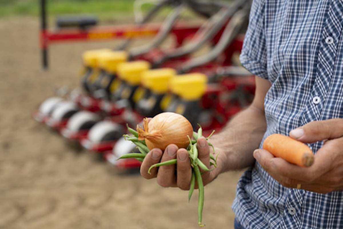 Le seminatrici di precisione MSO di MaterMacc consentono di seminare un'ampia gamma di colture orticole e non solo