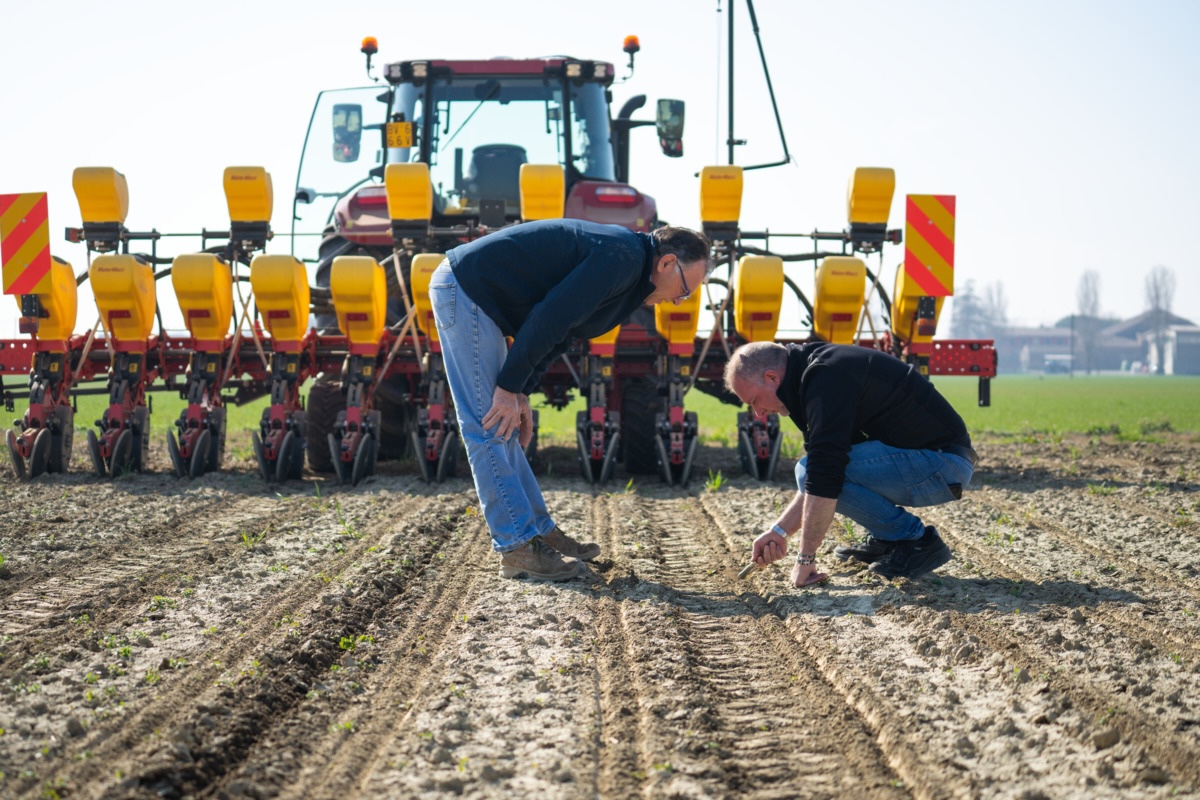La precisione nella semina della barbabietola è cruciale per ottenere rese competitive e di qualità