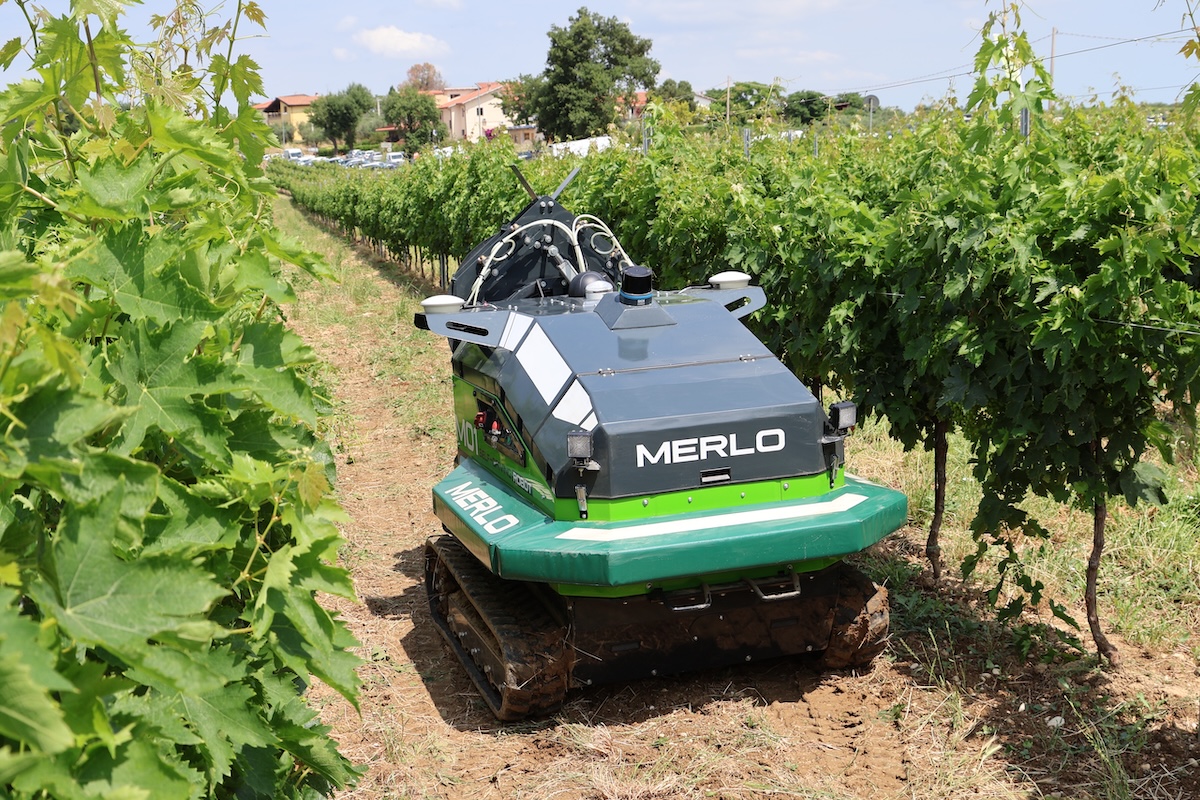 Nuovi Cingo di Merlo a Enovitis in campo 2025 - Agrimeccanica - AgroNotizie
