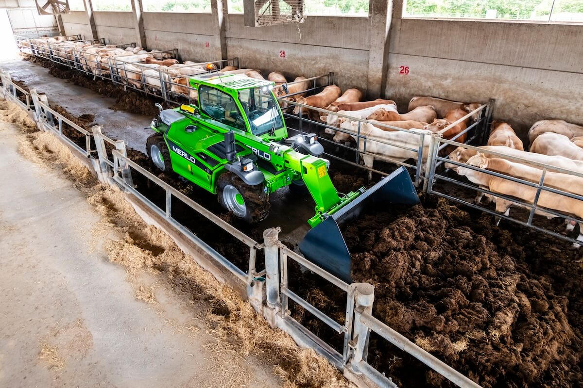 Il sollevatore compatto Merlo TF30.7 può entrare in qualsiasi edificio agricolo