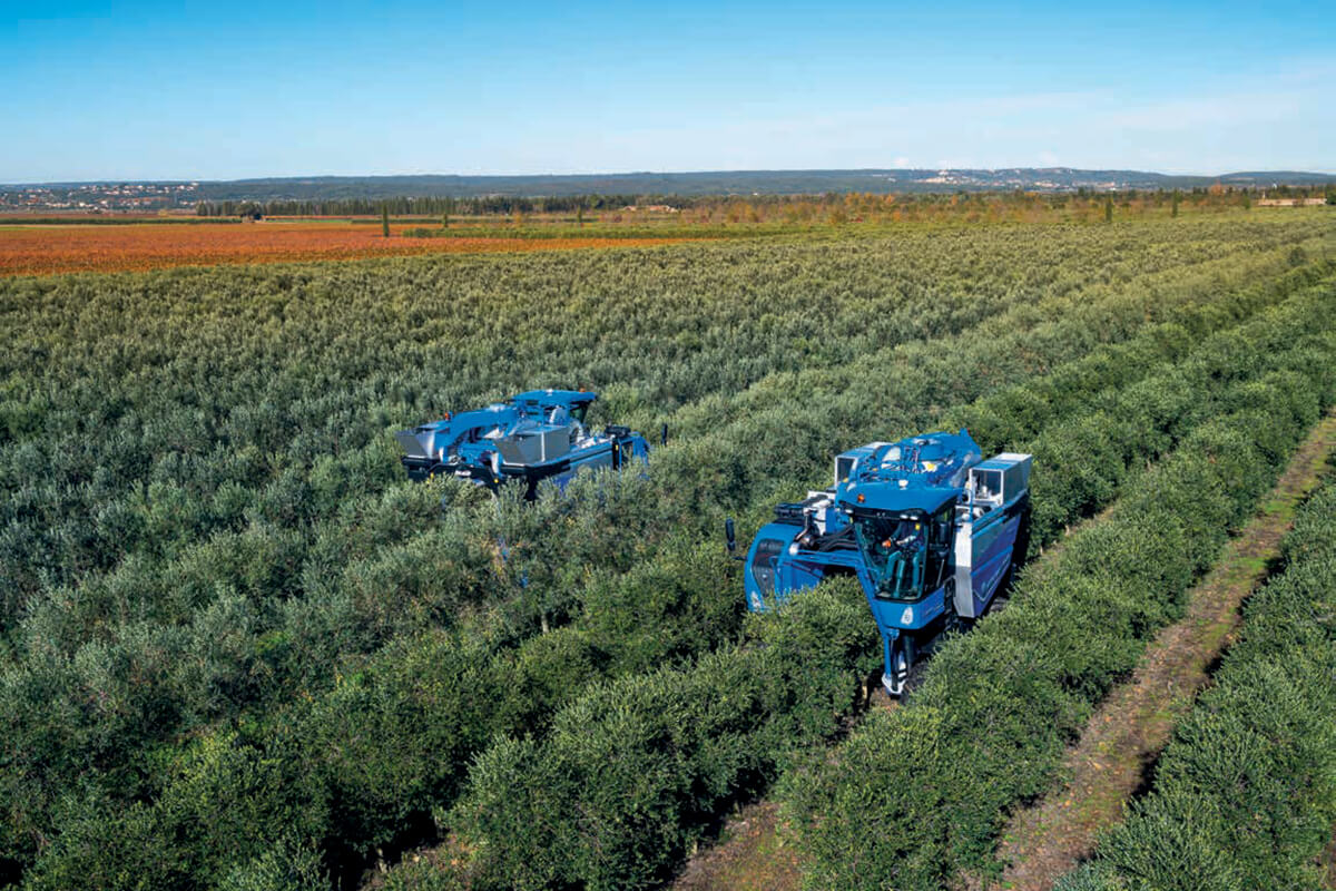 L'adozione di tecnologie moderne e macchinari avanzati è fondamentale per il futuro dell'olivicoltura