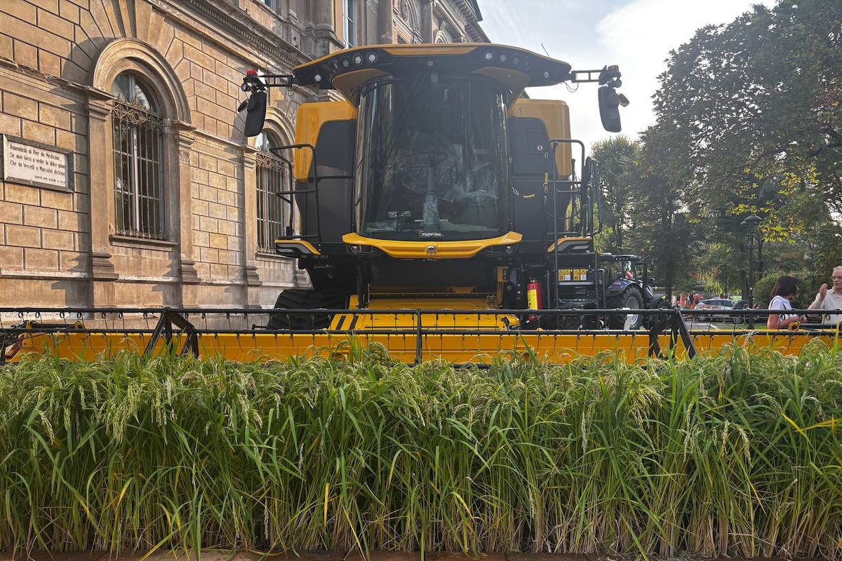 Mietitrebbia New Holland in mostra all'edizione 2025 del festival internazionale del riso