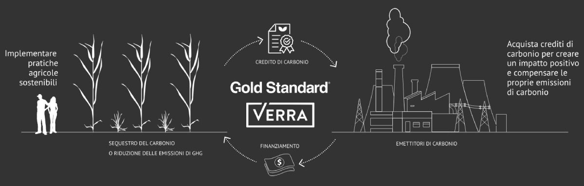 Schema di accesso al Mercato Volontario dei crediti di Carbonio per le realtà agricole