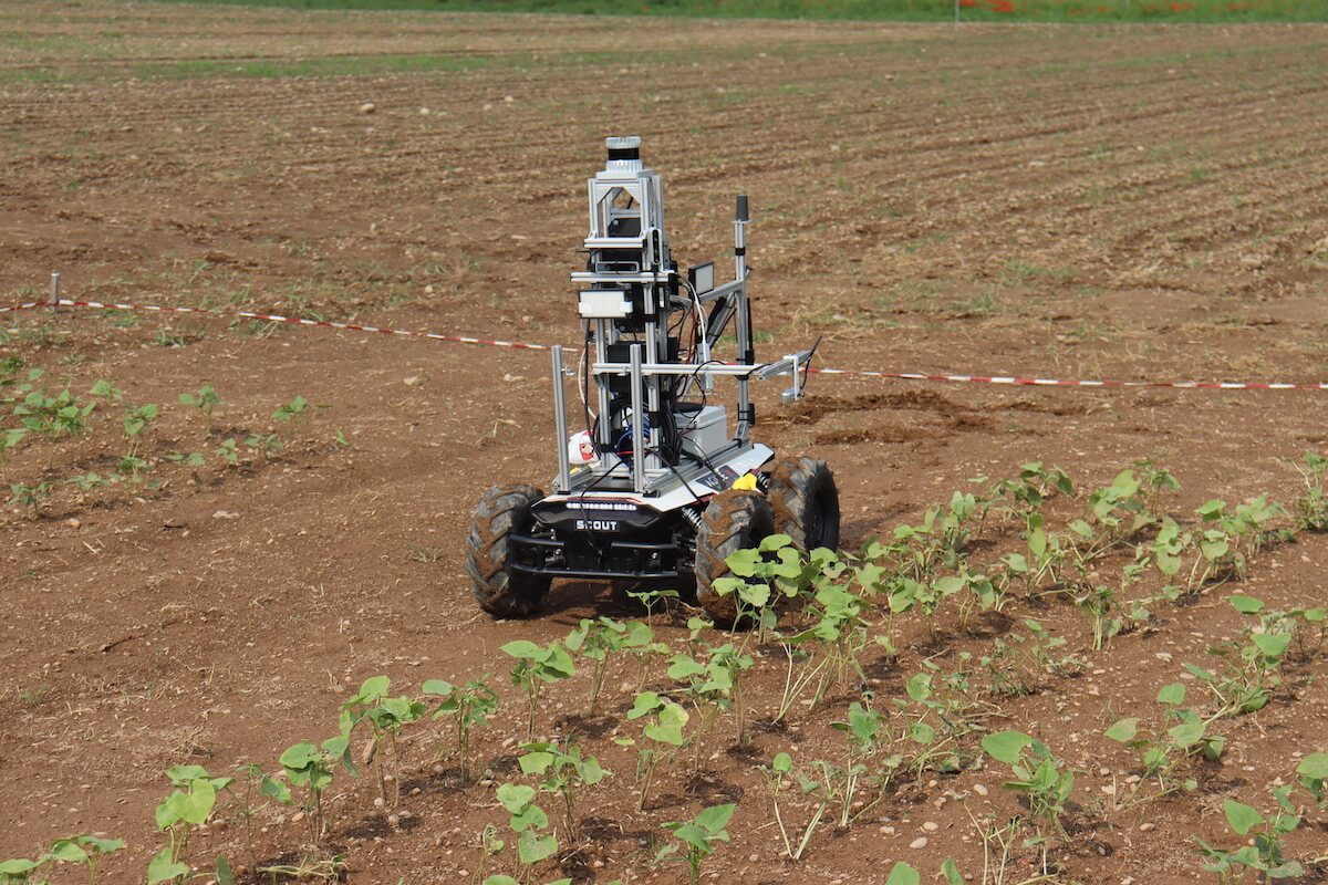 Robot dell'AIRlab e del Disaa impegnato nel rilevamento delle infestanti ad Acre 2023
