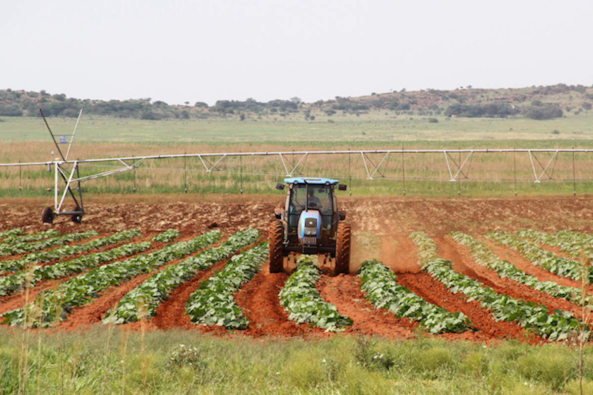 L'aumento dell'uso di macchine agricole è uno dei driver fondamentali per lo sviluppo dell'agricoltura africana