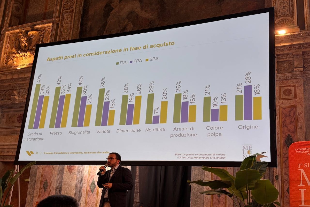 Preferenze di acquisto del melone in Italia, Spagna e Francia