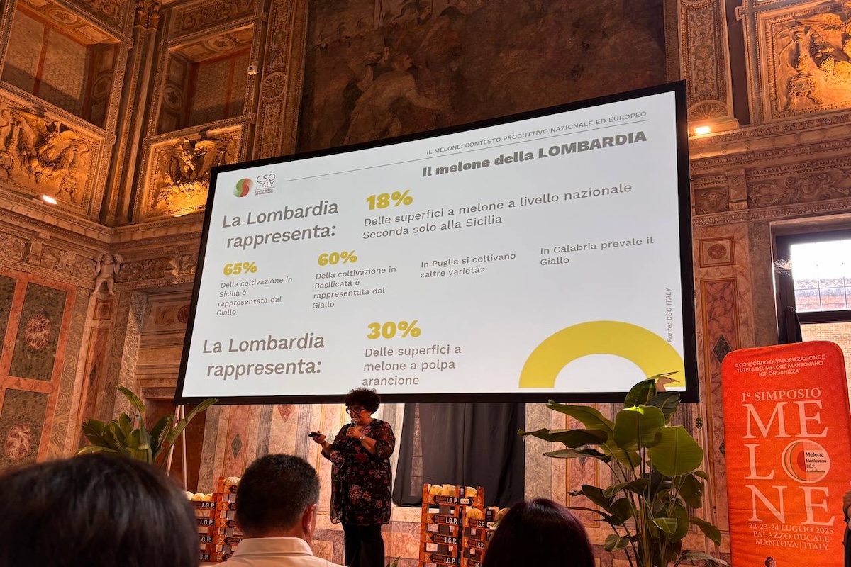 Le superfici a melone in Italia