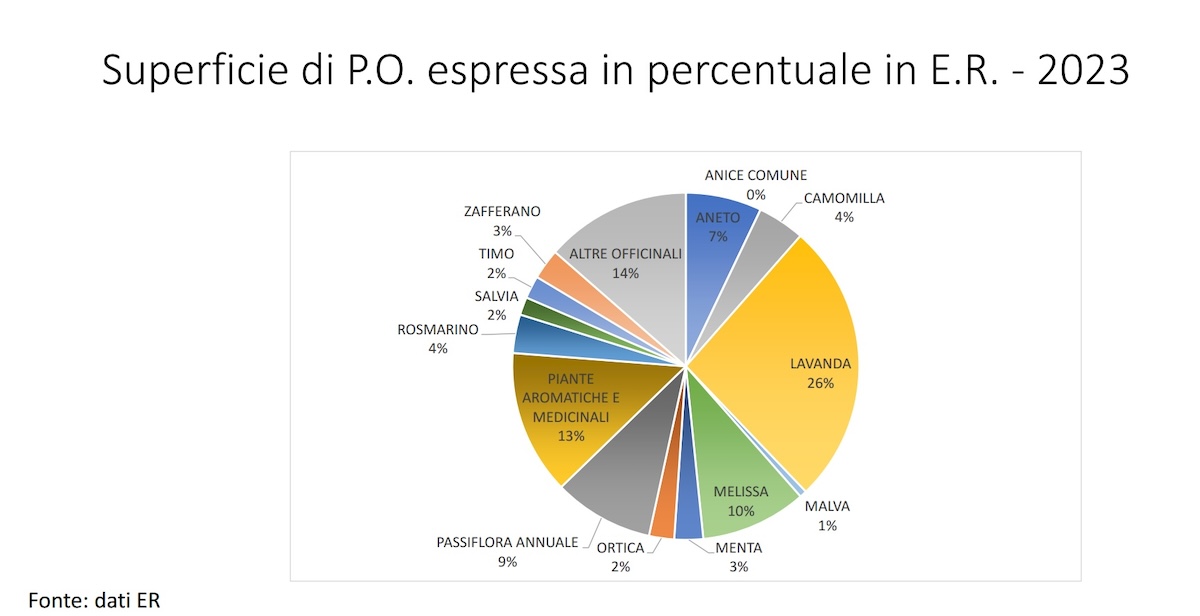 Piante officinali: la superficie in Emilia Romagna noel 2023 in percentuale